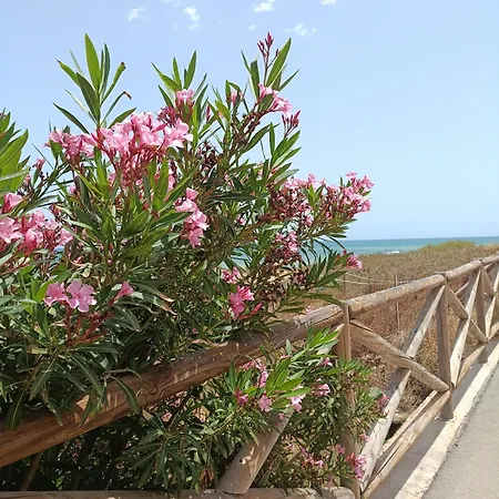 Apartmán Miramar Torrevieja
