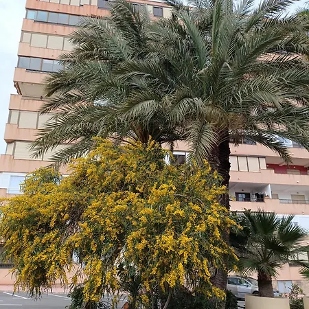 Miramar Apartamento Torrevieja