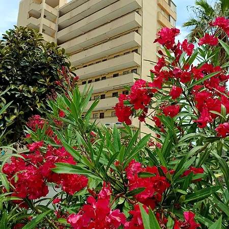 Miramar Apartamento *