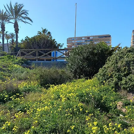 Miramar דירה *
